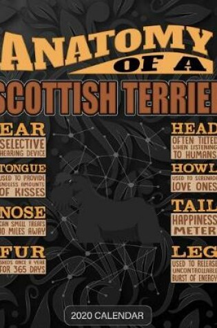 Cover of Anatomy Of A Scottish Terrier