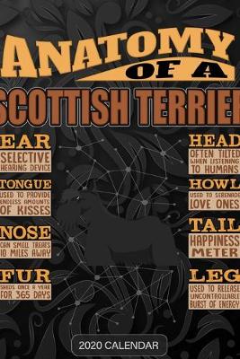 Book cover for Anatomy Of A Scottish Terrier