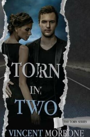 Cover of Torn in Two