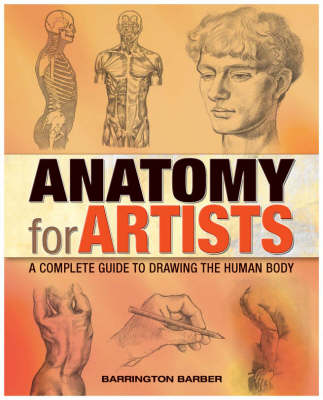 Book cover for Anatomy for Artists