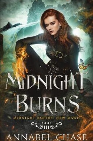 Cover of Midnight Burns