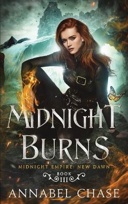 Book cover for Midnight Burns