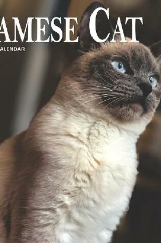 Cover of Siamese Cat