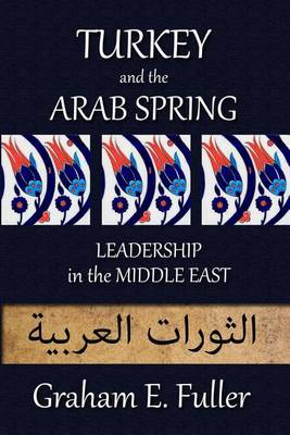 Book cover for Turkey and the Arab Spring