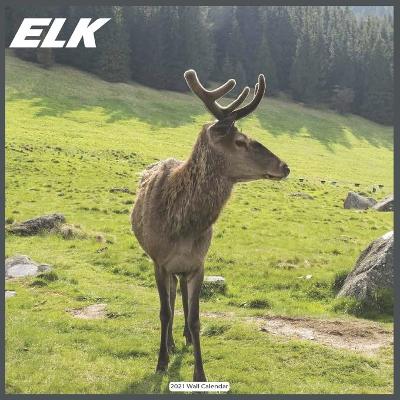 Book cover for ELK 2021 Wall Calendar