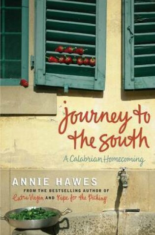 Cover of Journey to the South