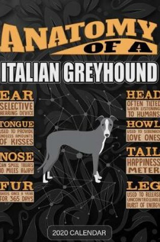Cover of Anatomy Of A Italian Greyhound
