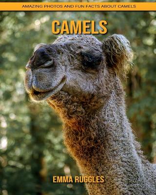 Book cover for Camels