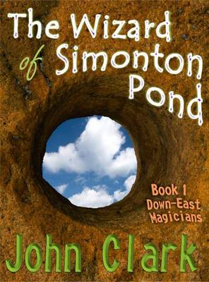 Book cover for The Wizard of Simonton Pond