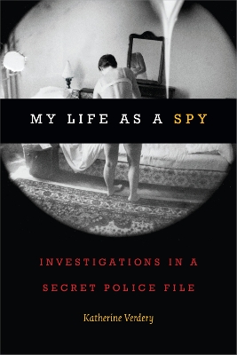 Book cover for My Life as a Spy