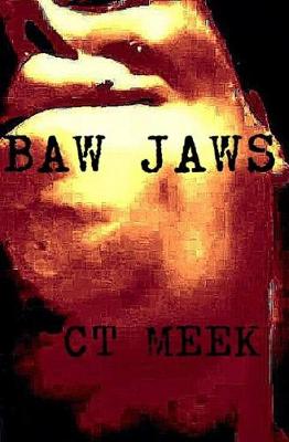 Book cover for Baw Jaws