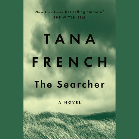 Book cover for The Searcher