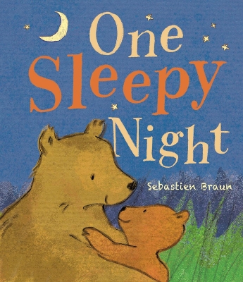 Book cover for One Sleepy Night