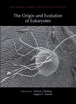 Book cover for The Origin and Evolution of Eukaryotes