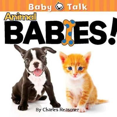 Book cover for Animal Babies!