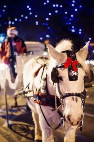 Cover of Horse Drawn Carriage in Central Park, New York