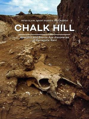 Book cover for Chalk Hill