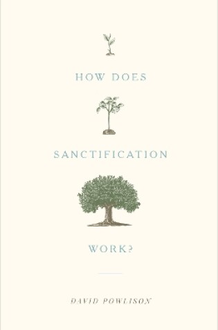 Cover of How Does Sanctification Work?