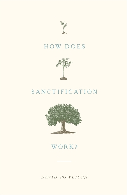 Book cover for How Does Sanctification Work?