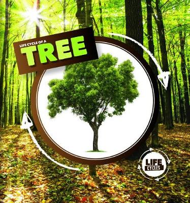 Cover of Life Cycle of a Tree