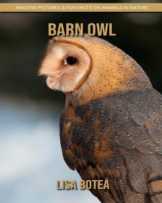 Book cover for Barn Owl