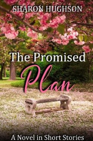 Cover of The Promised Plan