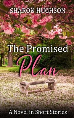 Book cover for The Promised Plan