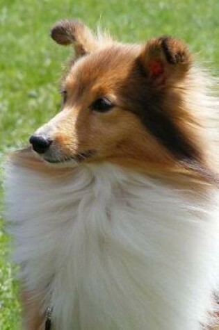 Cover of Adorable Sheltie Dog Portrait Journal