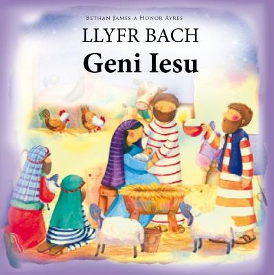 Book cover for Llyfr Bach Geni Iesu