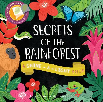 Cover of Shine a Light: Secrets of the Rainforest