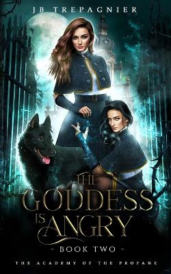 Book cover for The Goddess is Angry