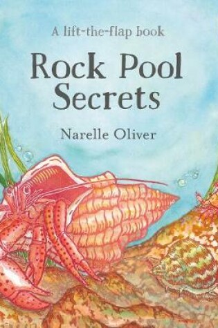 Cover of Rock Pool Secrets