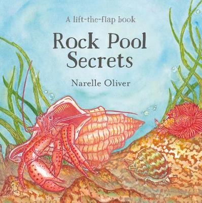 Book cover for Rock Pool Secrets