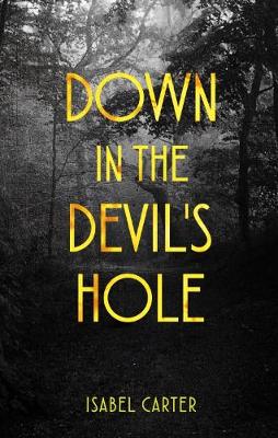 Book cover for Down in the Devil's Hole