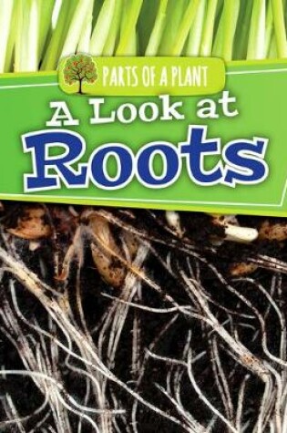 Cover of A Look at Roots