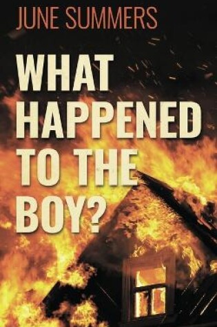 Cover of What Happened to the Boy?