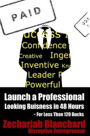 Cover of Launch a Professional Looking Business in 48 Hours