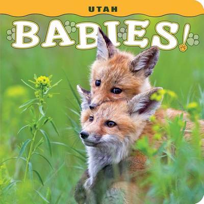 Book cover for Utah Babies!