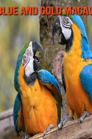 Cover of Blue and Gold Macaw