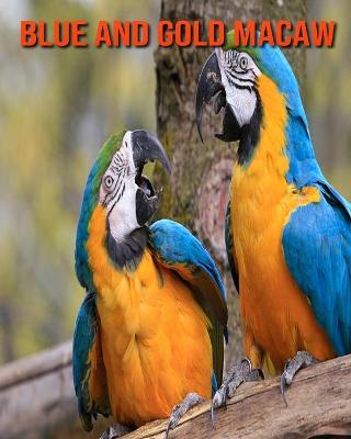 Book cover for Blue and Gold Macaw