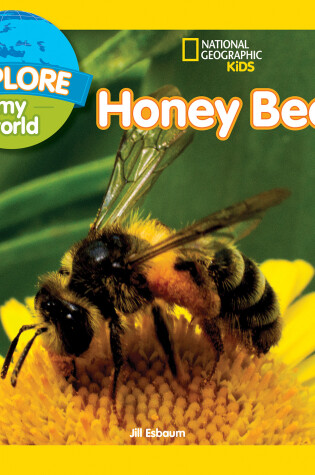 Cover of Explore My World: Honey Bees