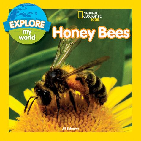 Book cover for Explore My World: Honey Bees