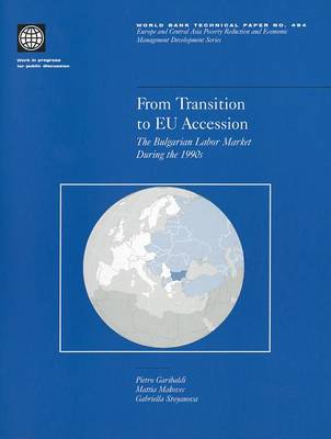 Book cover for From Transition to EU Accession