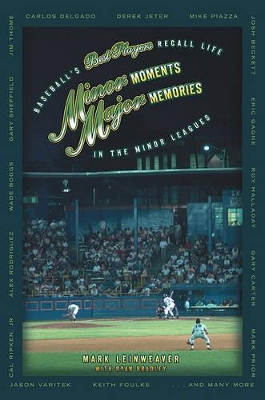 Book cover for Minor Moments, Major Memories