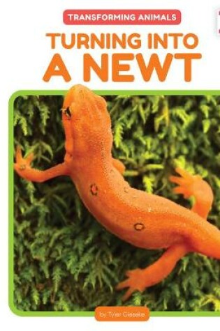 Cover of Turning Into a Newt