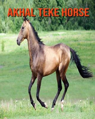 Book cover for Akhal Teke Horse