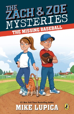 Book cover for The Missing Baseball