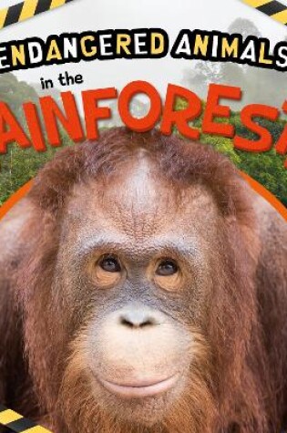 Cover of In the Rainforests