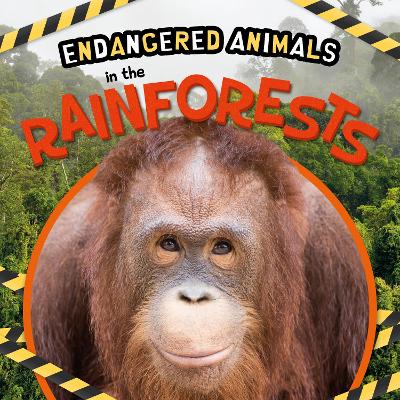 Cover of In the Rainforests