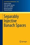 Book cover for Separably Injective Banach Spaces